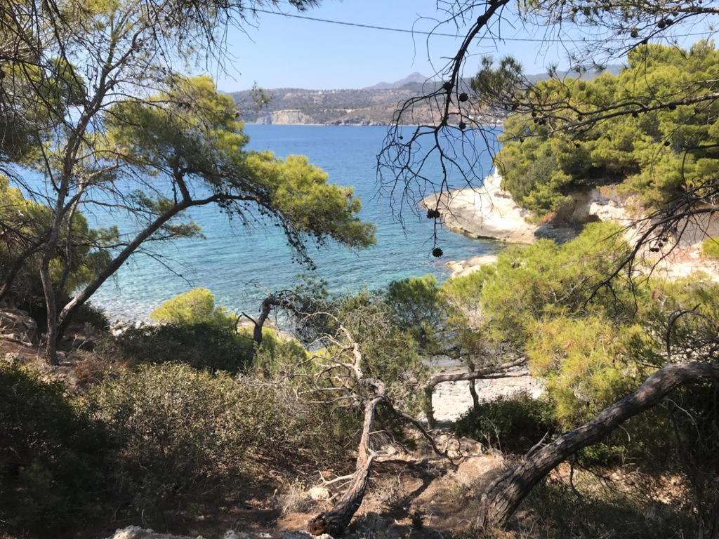 Vana Kavos Apartment Agia Marina  Ngoại thất bức ảnh